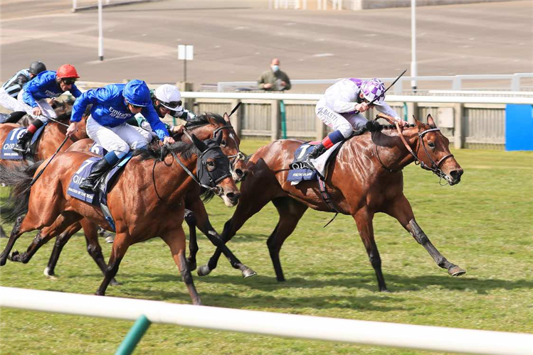 POETIC FLARE and Kevin Manning (far side) winning the Qipco 2000 Guineas Stakes (Group 1) (British Champions Series)