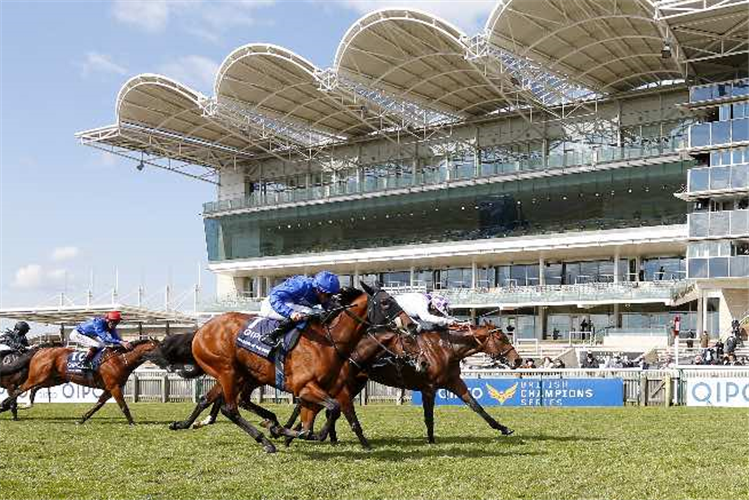 POETIC FLARE (far side) winning the Qipco 2000 Guineas Stakes (Group 1) (British Champions Series)