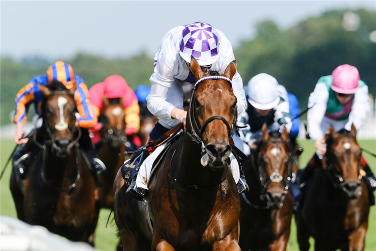POETIC FLARE winning the St James's Palace Stakes (Group 1) (British Champions Series) (Rnd)