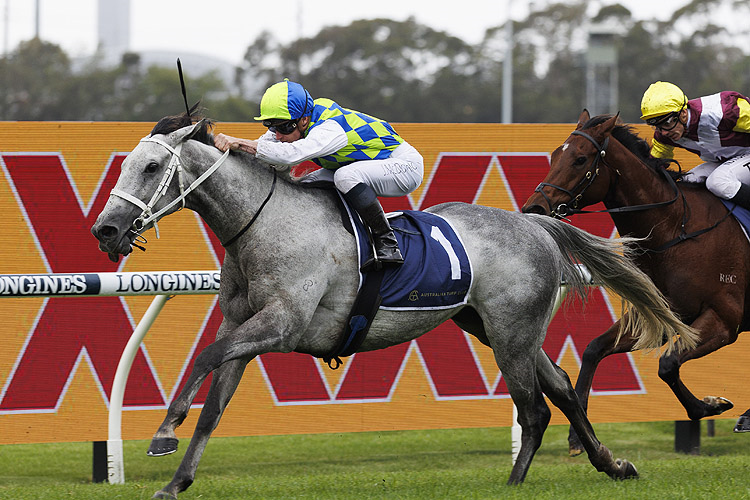POLLY GREY winning the Atc Cup