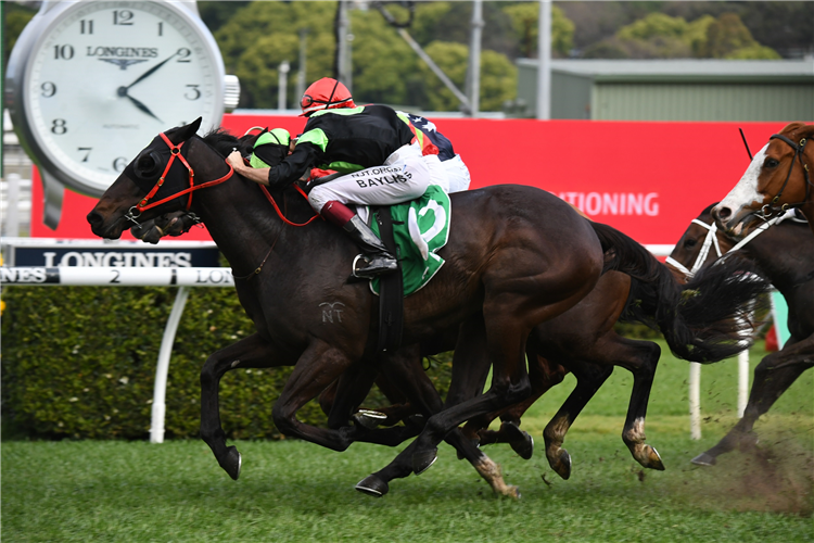 PRIVATE EYE winning the Epsom Hcp at Randwick in Australia.