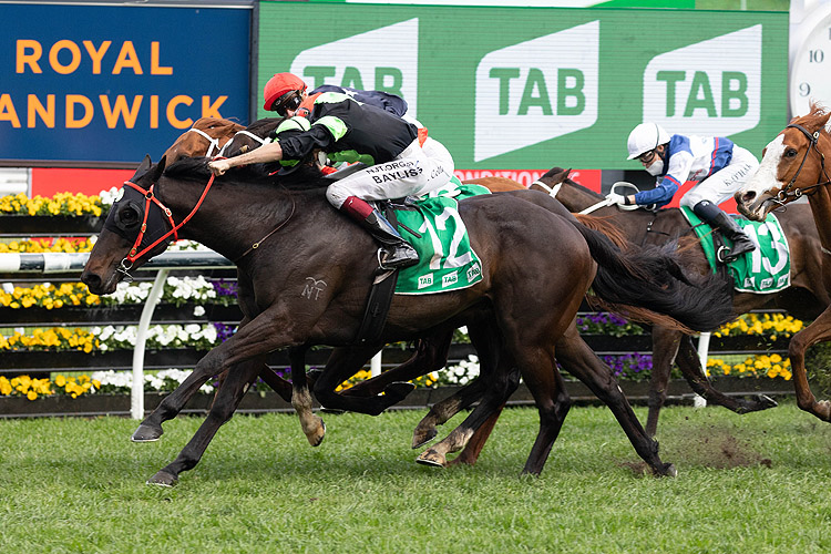 PRIVATE EYE winning the Epsom Handicap.