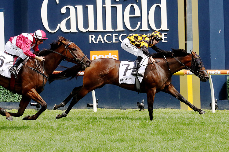 PROBABEEL winning the Lamaro's Sth Melb. Futurity