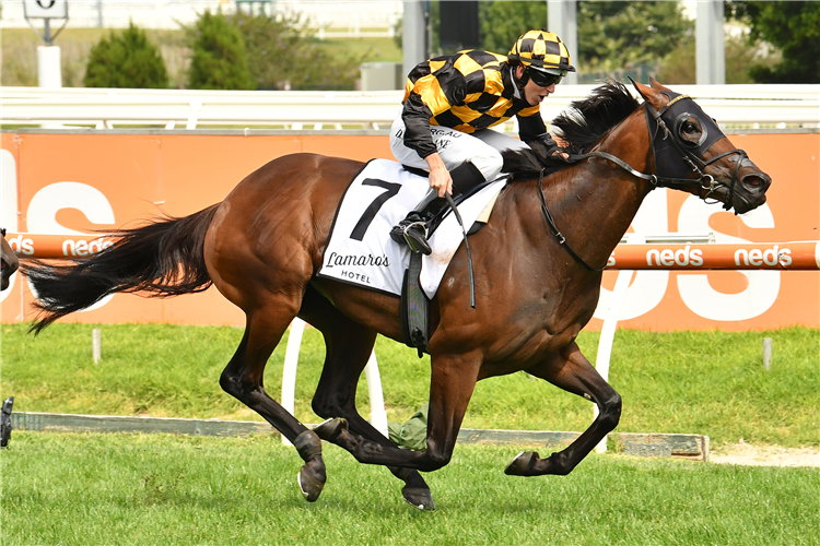 PROBABEEL winning the Lamaro's Sth Melb. Futurity