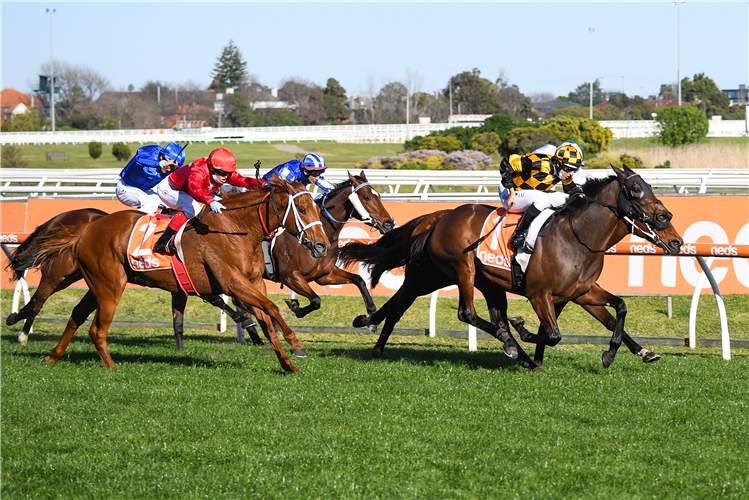 PROBABEEL winning the W.W. Cockram Stakes at Caulfield in Australia.