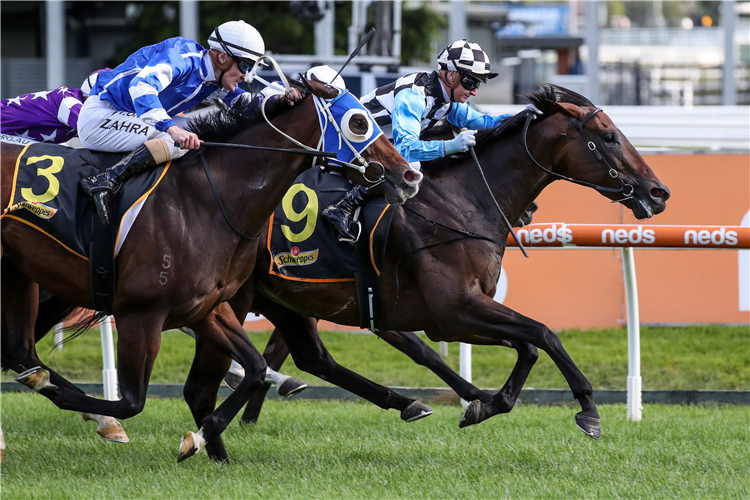 PROPHET'S THUMB winning the Rubiton Stakes at Caulfield in Australia.