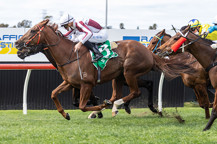 PROPOSE A TOAST winning the Tab Highway Hcp (C2)