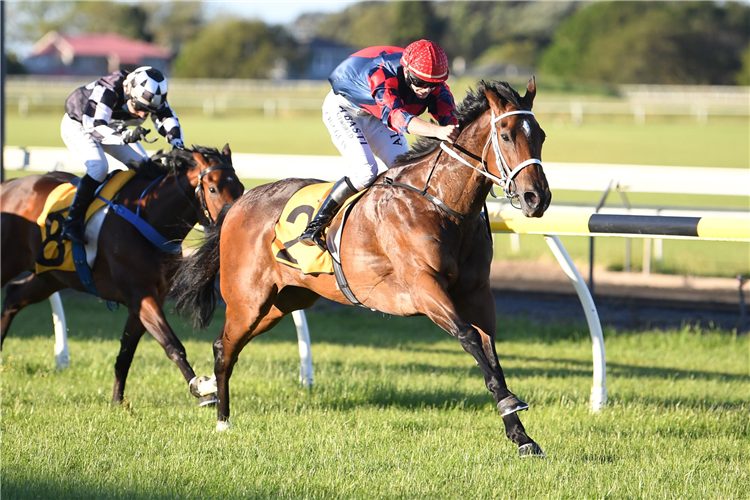 PURE INCANTO winning the Xmas At The Races 2/12 Mdn