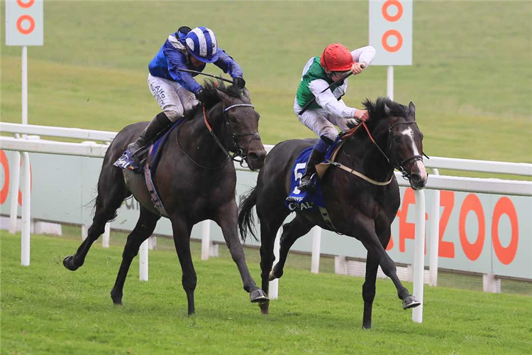 PYLEDRIVER (right) winning the Coral Coronation Cup (Group 1) (British Champions Series)