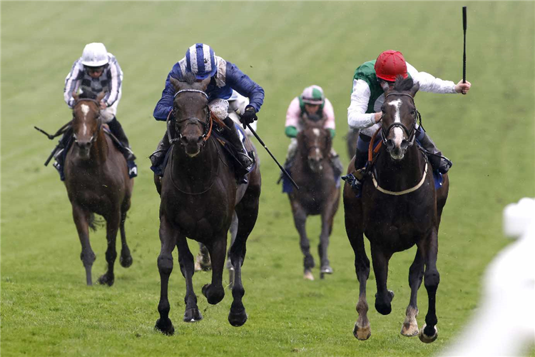 PYLEDRIVER(right) winning the Coral Coronation Cup (Group 1) (British Champions Series)
