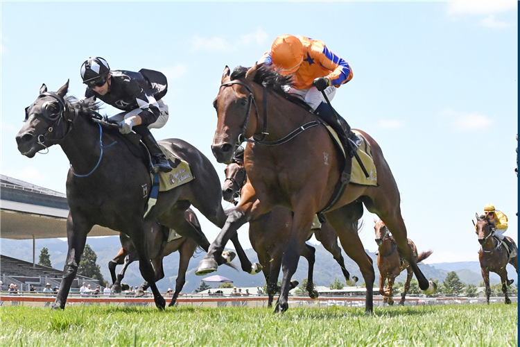 QUATTRO QUINTA(right) winning the Irt No.1 Wellesley Stakes