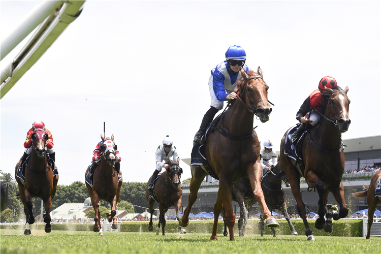 QUEEN BELLISSIMO winning the Midway Handicap at Randwick in Australia.