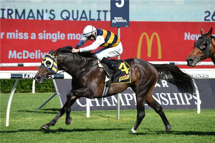 QUICK THINKER winning the Schweppes Chairman's Qlty at Randwick in Australia.