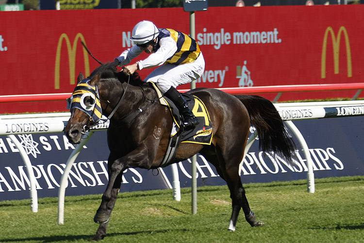 QUICK THINKER winning the Schweppes Chairman's Qlty