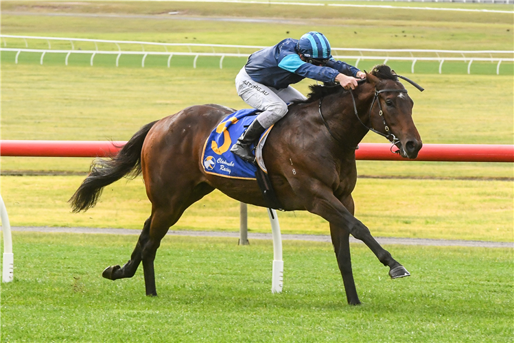 RANVEER winning the Clanbrooke Racing Hcp at Sandown in Australia.