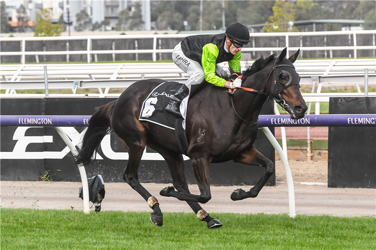 REALM OF FLOWERS winning the The Andrew Ramsden at Flemington in Australia.