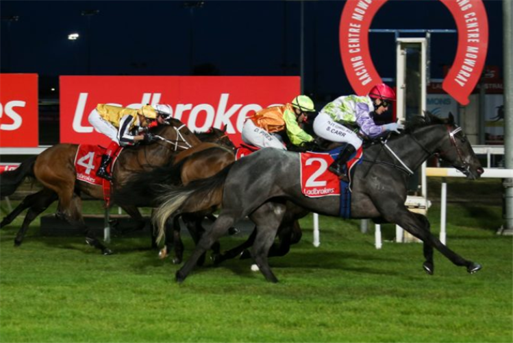 Rebel Factor will be looking to take out the $150,000 Newmarket at Launceston tonight