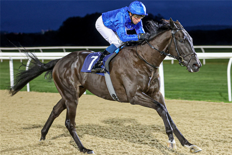 REBEL'S ROMANCE winning the UAE 2000 Guineas Trial Sponsored By Hamdan bin Mohammed Cruise Terminal