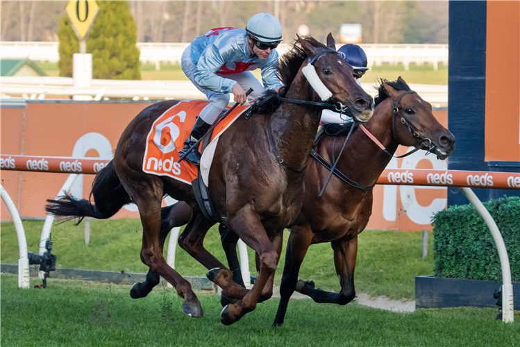 RED CAN MAN winning the Sir John Monash Stakes at Caulfield in Australia.