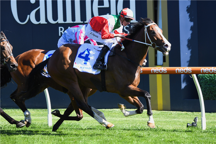 REGALO DI GAETANO winning the Keno Eclipse Stakes at Caulfield in Australia.