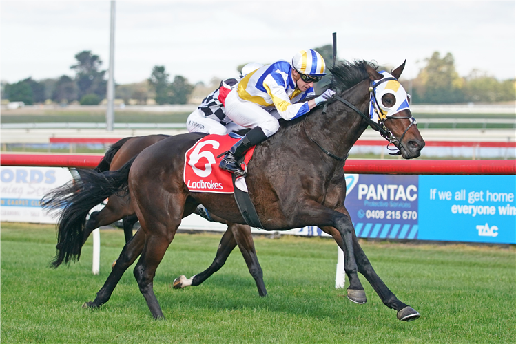RELIABLE DUDE  winning the Jack Ryans Delivers 3YO Maiden Plate in Sale, Australia. 