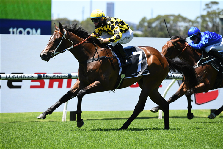 REMARQUE winning the The Agency Real Estate Hcp at Rosehill in Australia.