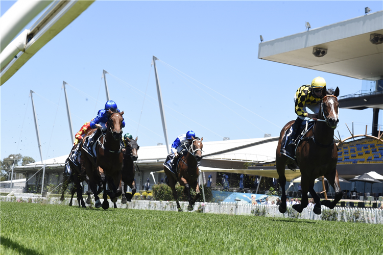 REMARQUE winning the The Agency Real Estate Hcp at Rosehill in Australia.