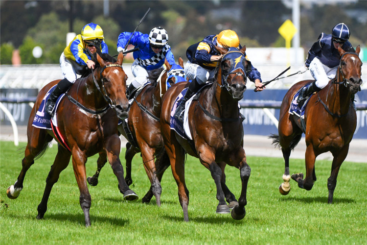 RIDING THE WAVE (L) winning the Summer Twilight Series Hcp at Flemington in Australia.