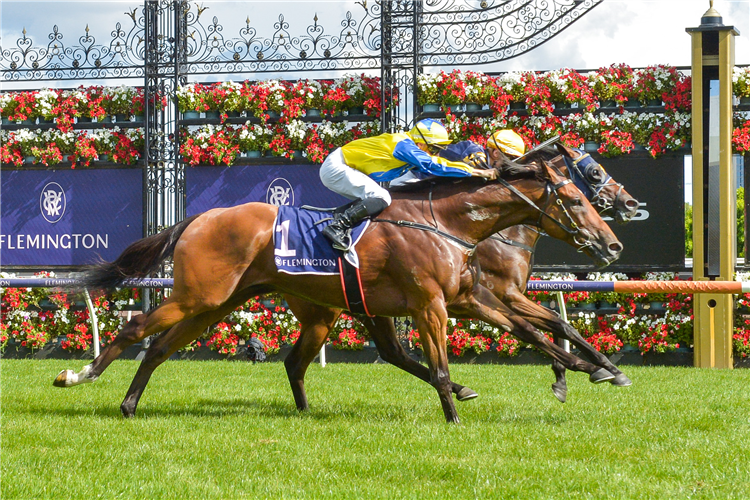 RIDING THE WAVE winning the Summer Twilight Series Hcp at Flemington in Australia.