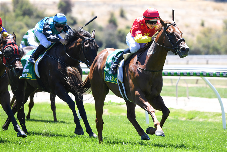 RIGHTS OF MAN winning the bet365 Odds Drift Protector Maiden Plate in Kyneton, Australia.