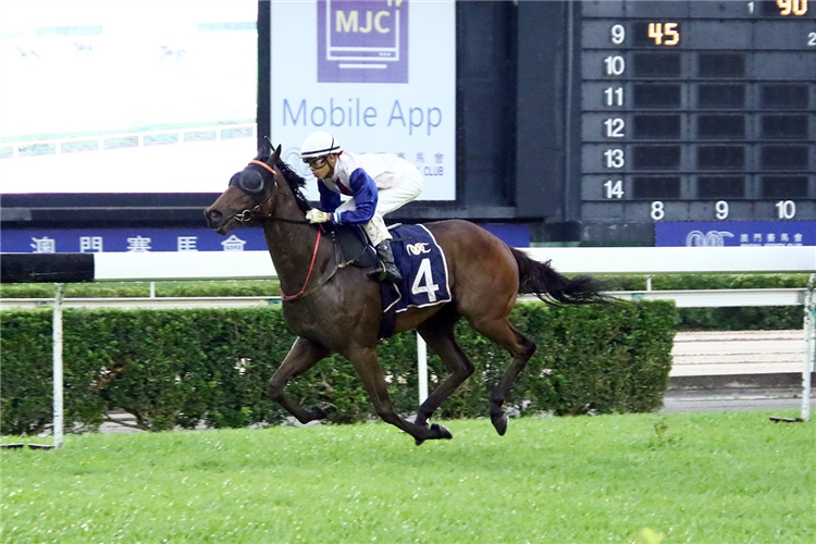 RIVER APPLAUSE winning the THE TAISHAN