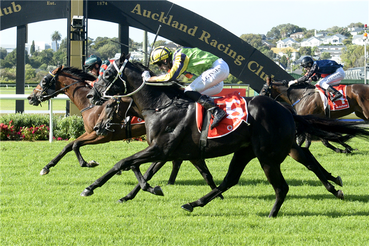 Rocket Spade (inner) masters Milford and Frontman (obscured, middle) to win the Gr.1 Vodafone New Zealand Derby (2400m)