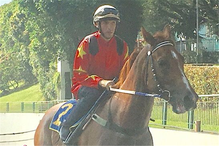 Danny Beasley brings Rocket Star back to scales after his barrier trial on Tuesday.