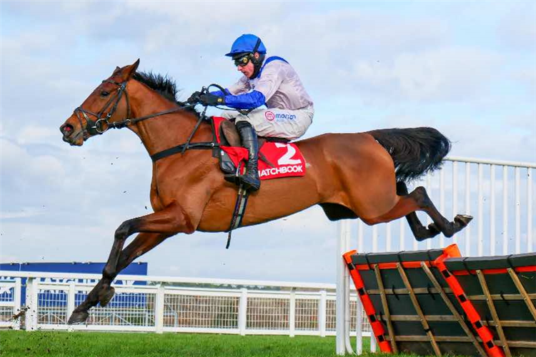 ROKSANA winning the Matchbook Betting Podcast Mares' Hurdle (Grade 2) (Registered As The Warfield) (GBB Race)