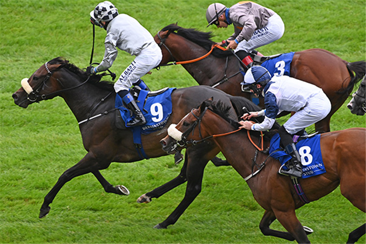 ROMANTIC PROPOSAL winning the Derrinstown Stud Flying Five Stakes (Group 1)