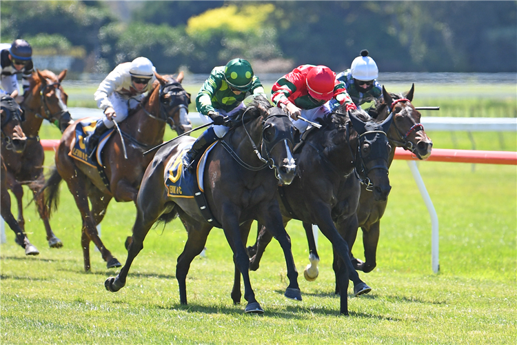 ROSE 'N' POWER winning the Courtesy Ford Levin Stakes