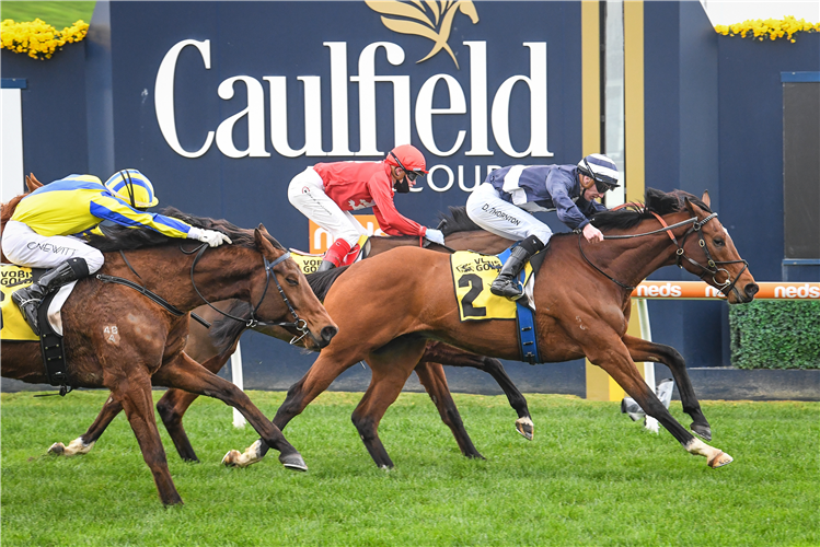 ROYAL CROWN winning the VOBIS Gold Stayers at Caulfield in Australia.
