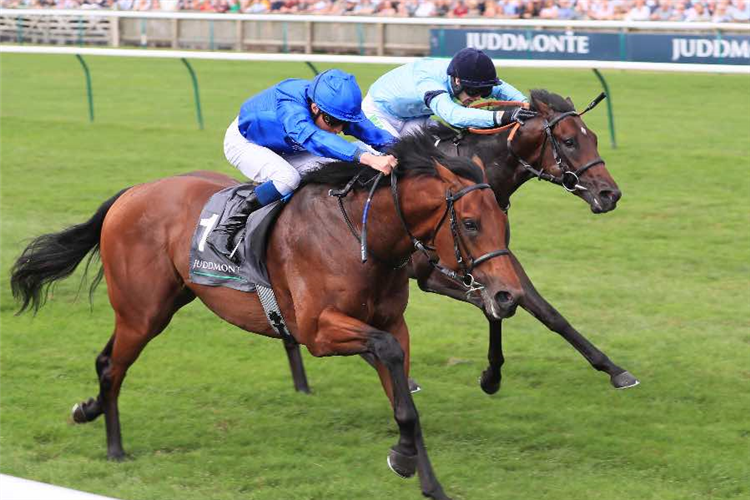 ROYAL PATRONAGE winning the Juddmonte Royal Lodge Stakes (Group 2)