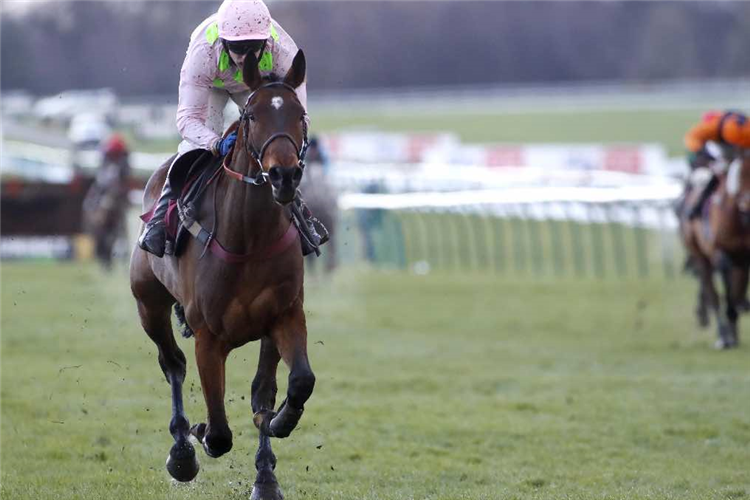 ROYALE PAGAILLE winning the Peter Marsh Handicap Chase (Limited Handicap) (Grade 2) (GBB Race)