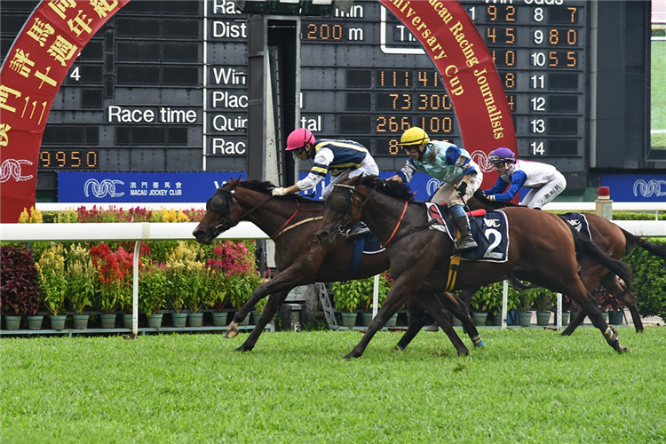 RUBICK KINGDOM winning the THE YUEYANG