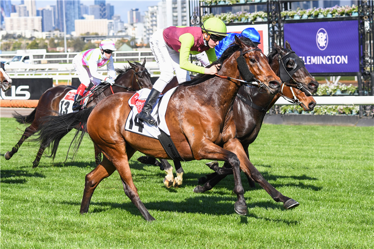 RUBY STREET winning the Resimax Trophy in Flemington, Australia.