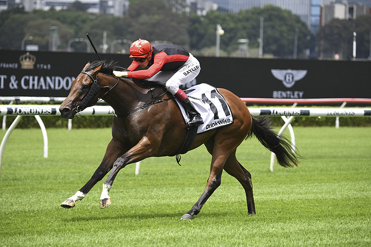 RUSSIAN CONQUEST winning the Drinkwise Plate