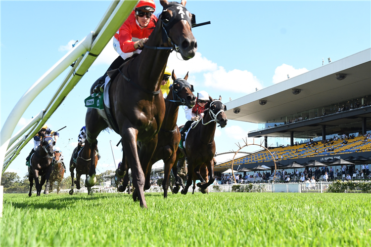 SACRAMENTO winning the Parramatta Cup at Rosehill in Australia.