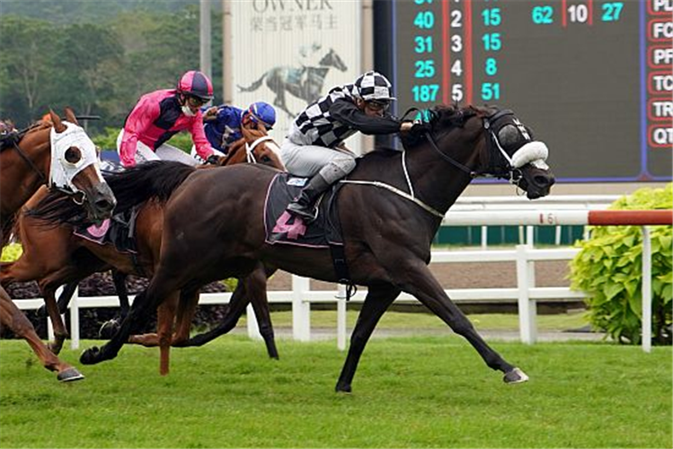 SACRED CROIX winning the SUPER EASY 2013 STAKES CLASS 1