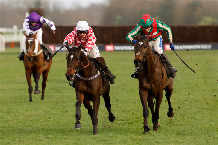 SAINT PALAIS (red and white) winning the Follow MansionBetRace On Twitter Mandarin Handicap Chase