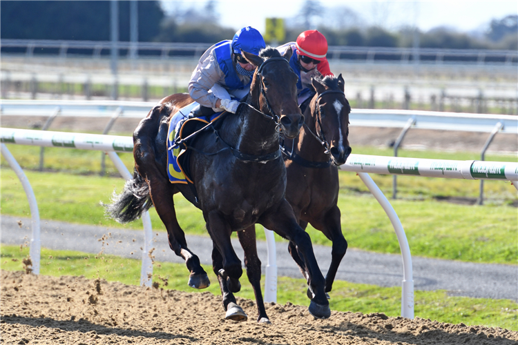 SAKURA BLOSSOM winning the Owners Trainers & Friends Mdn