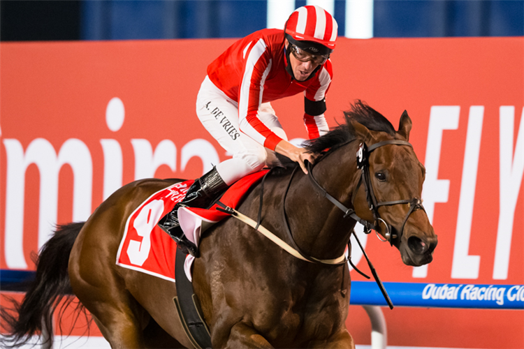 SALUTE THE SOLDIER winning the Al Maktoum Challenge R2 Sponsored By Emirates Airline