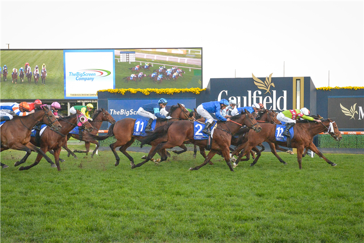 SANSOM winning the Bletchingly Stakes at Caulfield in Australia.