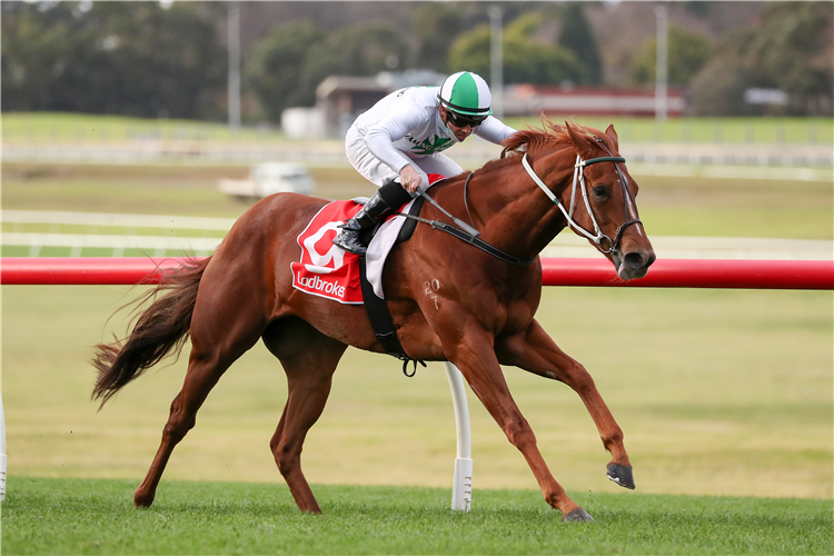 SARODEC winning the Blended Multi Hcp at Sandown in Australia.