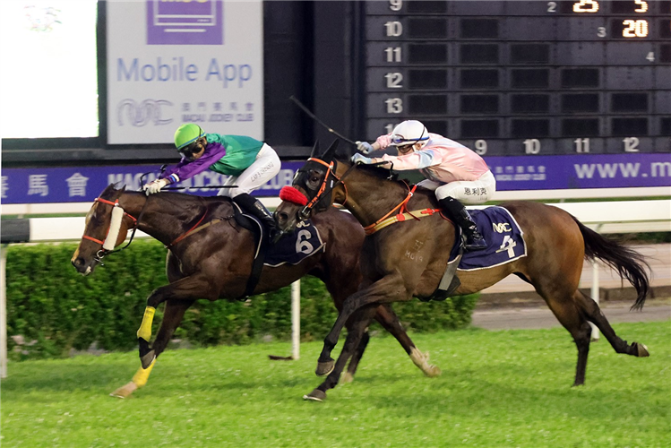 SATONO ETERNAL winning the THE FORTALEZA DO MONTE